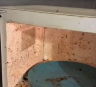 Microwave deep clean before cleaning