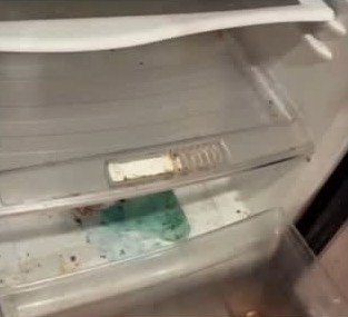 Refrigerator detail before cleaning